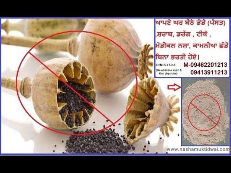 Nasha mukti result punjabi